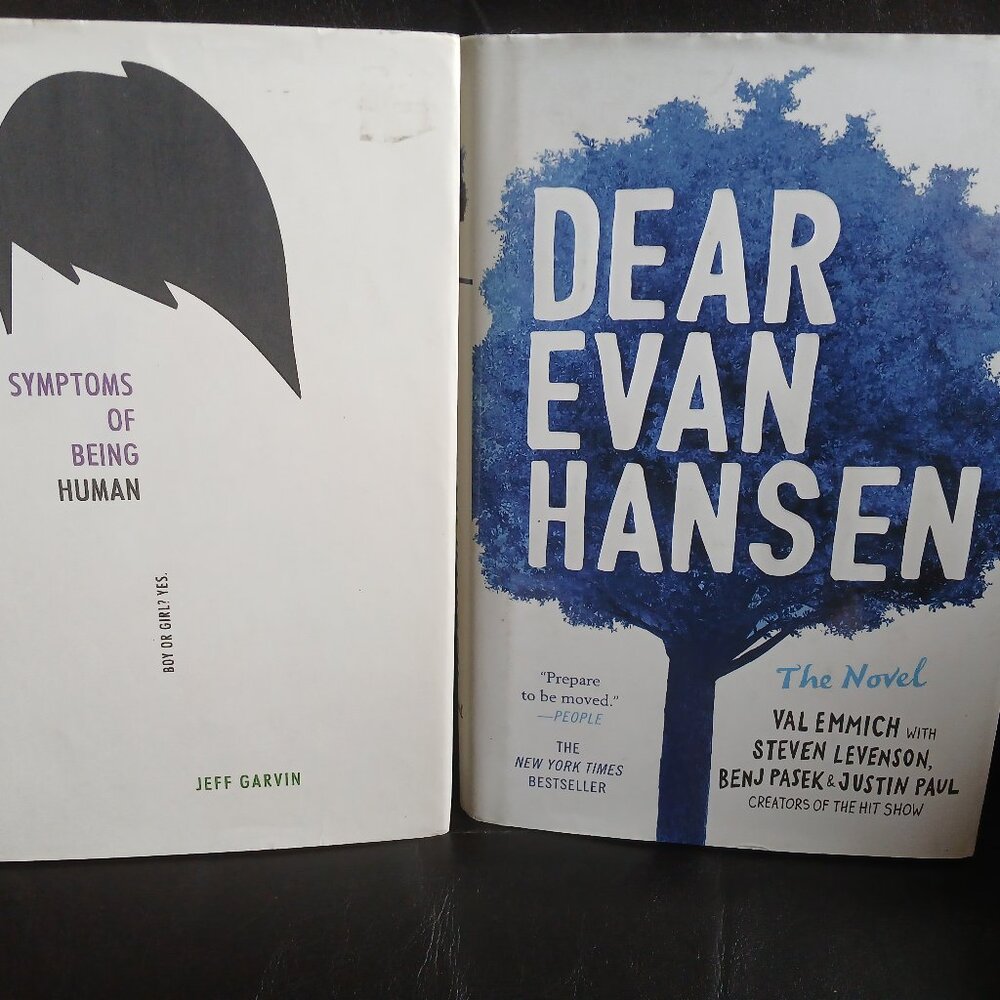 YA LGBTQ+ Hardback Two Book Bundle
